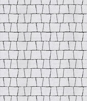  Тротуарная плитка Выбор Антик Б.3.А.6 60мм Белый: внешний вид