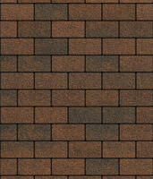  Брусчатка Прямоугольник Листопад 2.П.6 60 мм. Мустанг: внешний вид